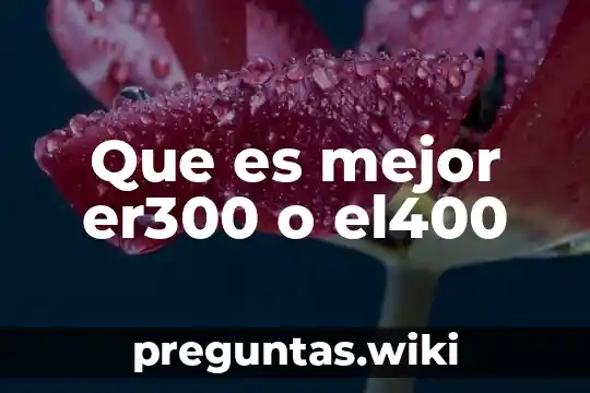 Que es mejor er300 o el400