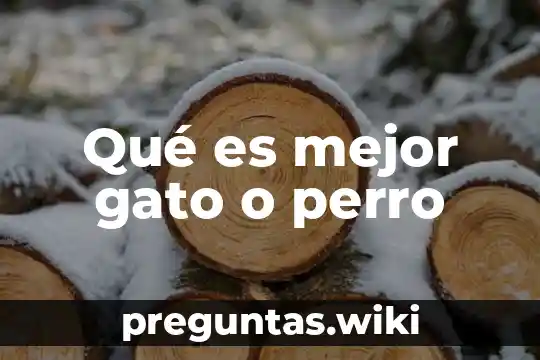 Qué es mejor gato o perro