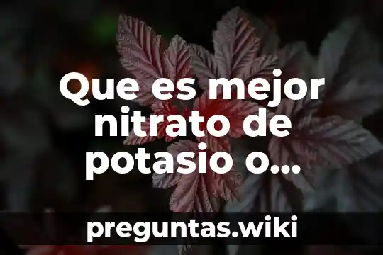 Que es mejor nitrato de potasio o sulfato de potasio