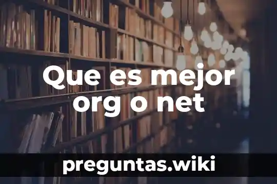 Que es mejor org o net