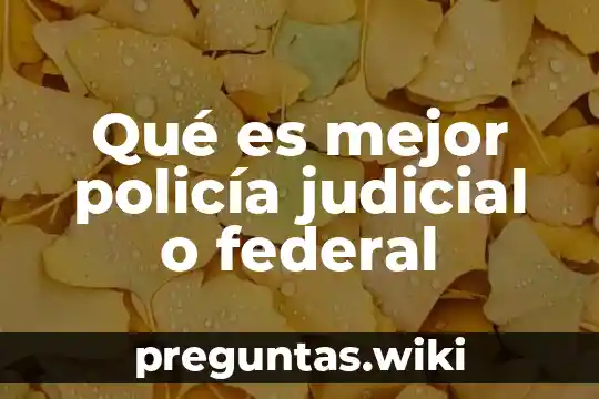 Qué es mejor policía judicial o federal