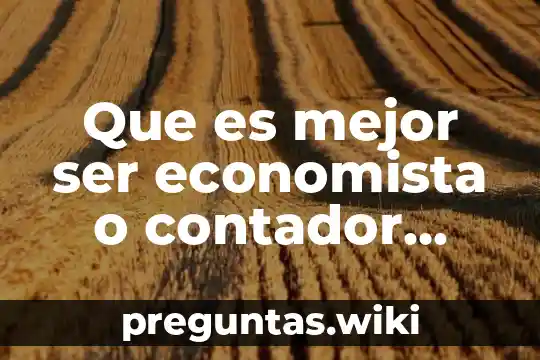 Que es mejor ser economista o contador publico