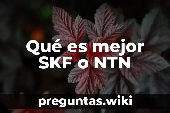 Qué es mejor SKF o NTN