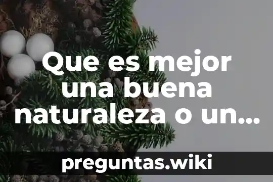 Que es mejor una buena naturaleza o un iv perfecto