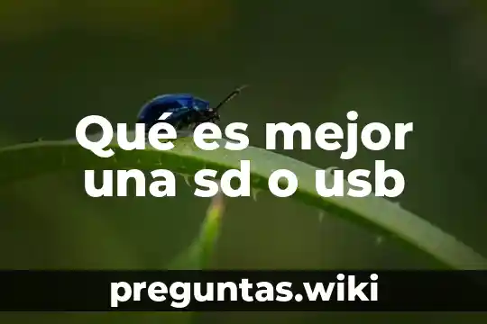 Qué es mejor una sd o usb
