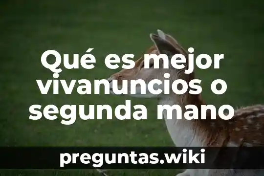 Qué es mejor vivanuncios o segunda mano