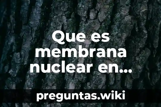 Que es membrana nuclear en biologia
