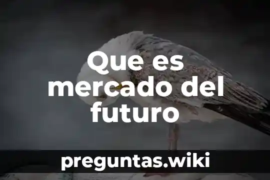 Que es mercado del futuro