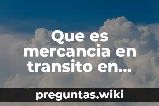 Que es mercancia en transito en contabilidad