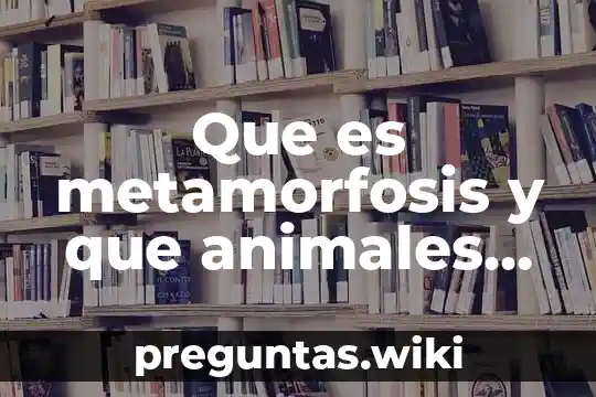 Que es metamorfosis y que animales sufren estos cambios