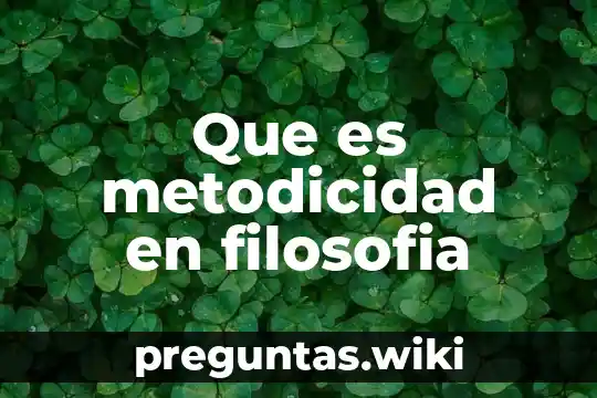 Que es metodicidad en filosofia
