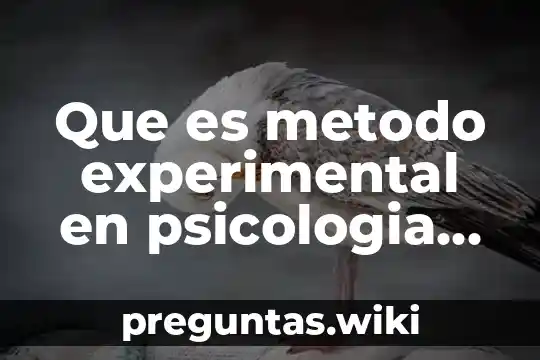 Que es metodo experimental en psicologia slide share