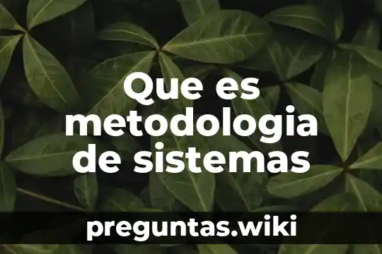 Que es metodologia de sistemas