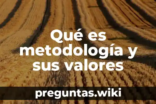 Qué es metodología y sus valores