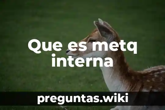 Que es metq interna