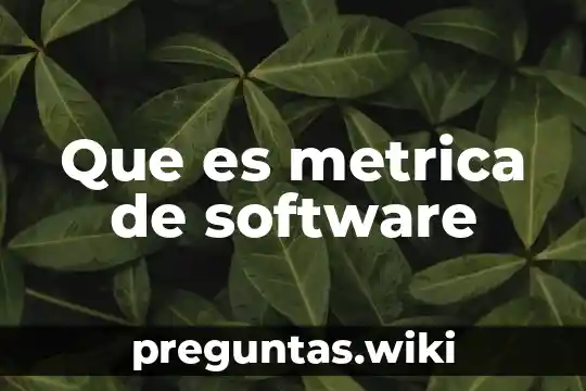 Que es metrica de software