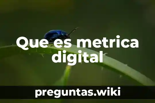 Que es metrica digital