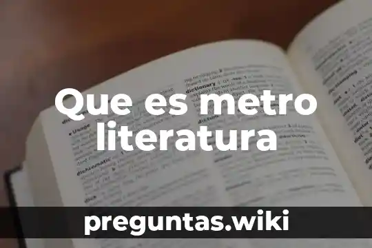 Que es metro literatura