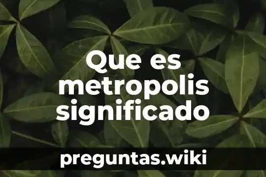 Que es metropolis significado