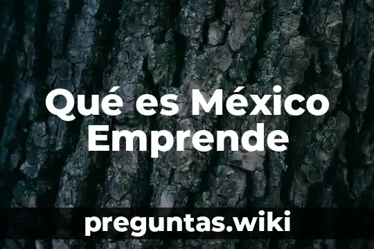 Qué es México Emprende