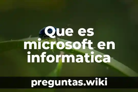 Que es microsoft en informatica