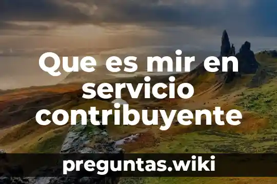 Que es mir en servicio contribuyente