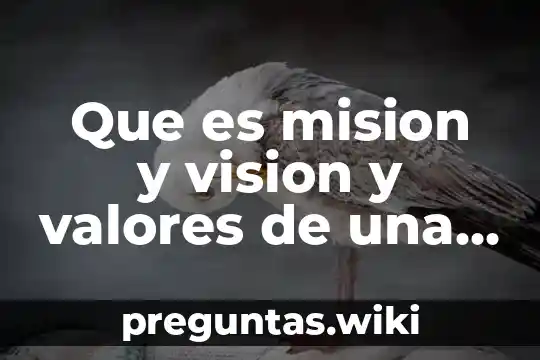 Que es mision y vision y valores de una empresa