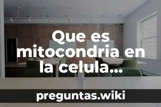Que es mitocondria en la celula animal