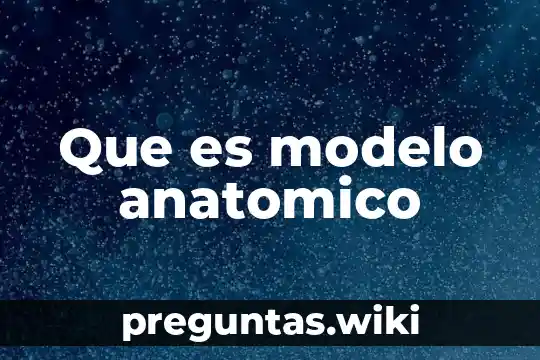 Que es modelo anatomico