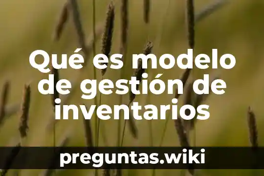 Qué es modelo de gestión de inventarios