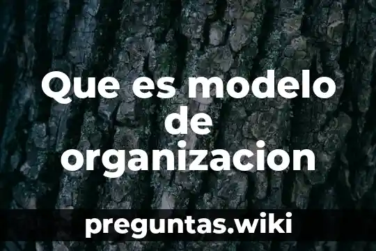 Que es modelo de organizacion