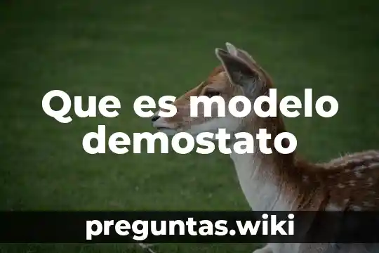 Que es modelo demostato