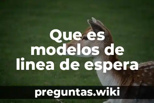 Que es modelos de linea de espera