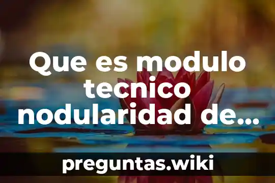 Que es modulo tecnico nodularidad de la mente