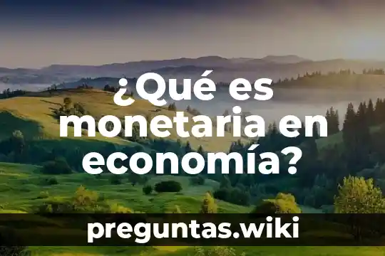 ¿Qué es monetaria en economía?