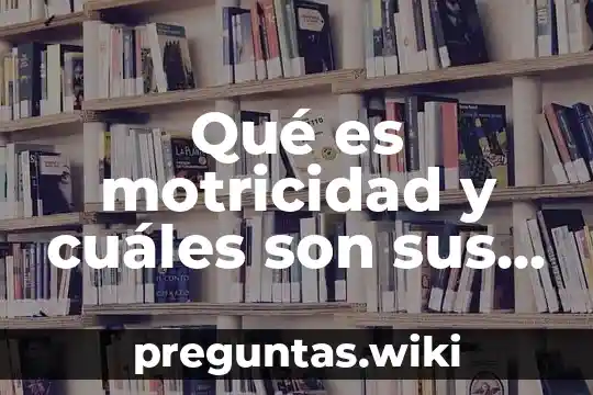 Qué es motricidad y cuáles son sus tipos en artes