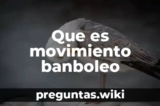 Que es movimiento banboleo