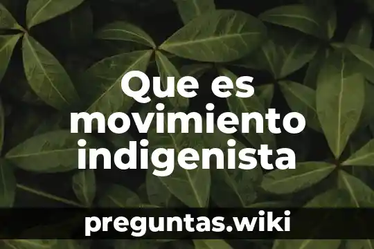 Que es movimiento indigenista