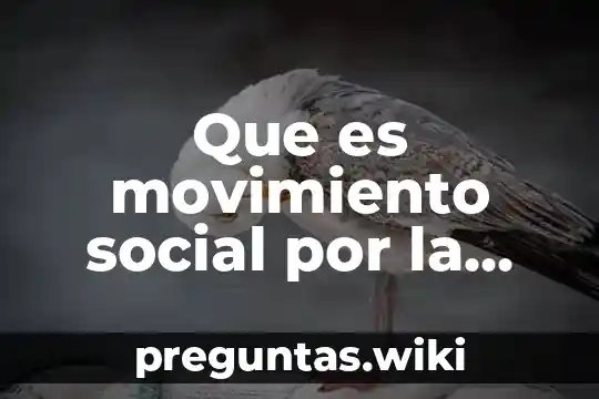 Que es movimiento social por la tierra