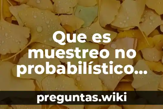 Que es muestreo no probabilístico ejemplo