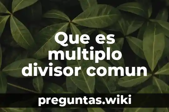 Que es multiplo divisor comun