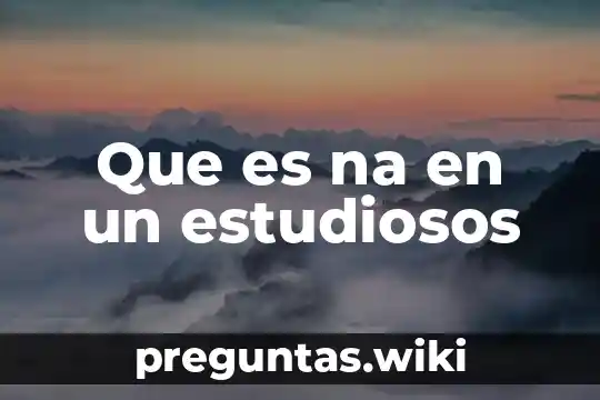Que es na en un estudiosos