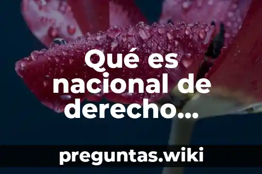 Qué es nacional de derecho humano