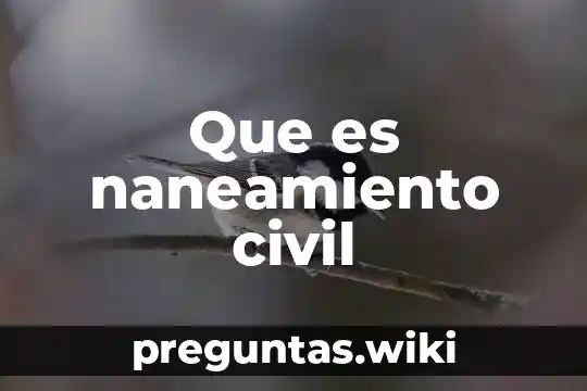 Que es naneamiento civil
