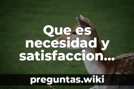 Que es necesidad y satisfaccion economia
