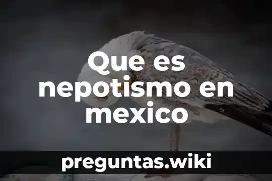 Que es nepotismo en mexico