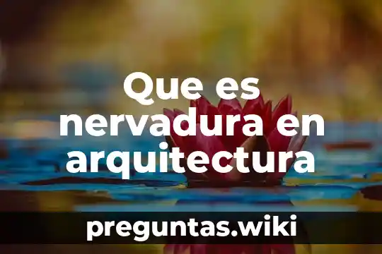 Que es nervadura en arquitectura