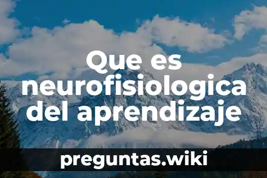 Que es neurofisiologica del aprendizaje