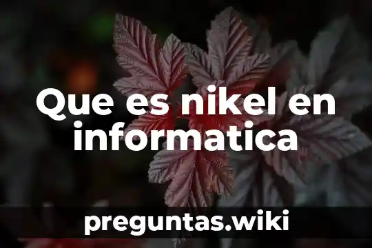 Que es nikel en informatica