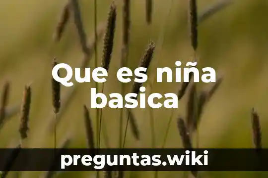 Que es niña basica